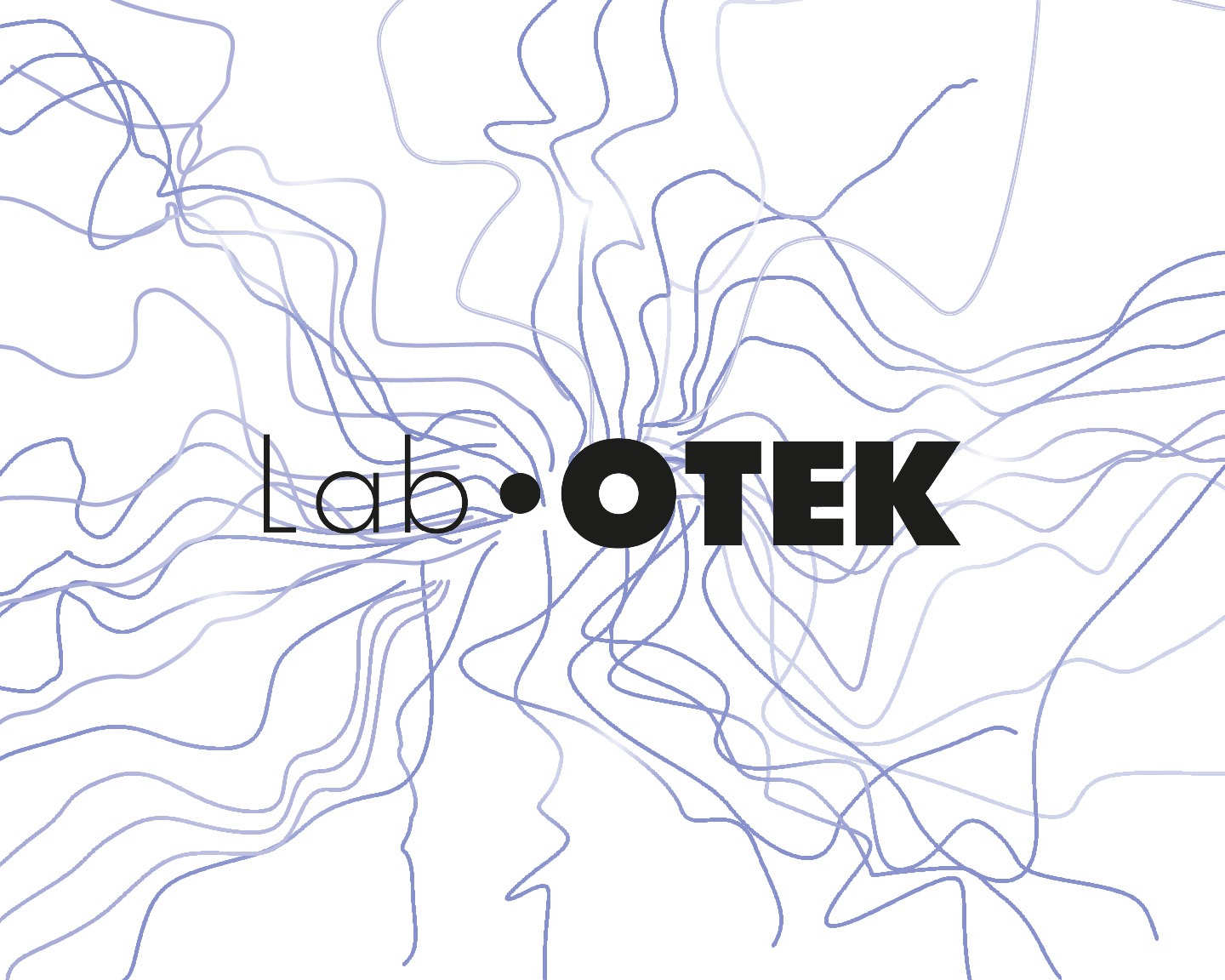 Lab Ory Lab Otek